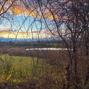 Meet your Posher, Mackenzie